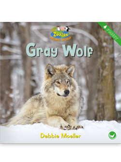 Cover of Childrens Book author Debbie Moeller's work 'Gray Wolf'