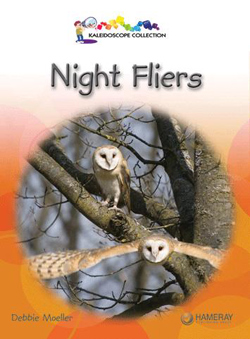 Night Fliers book cover