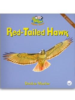 Cover of a children's book titled 'Red-Tailed Hawk'
